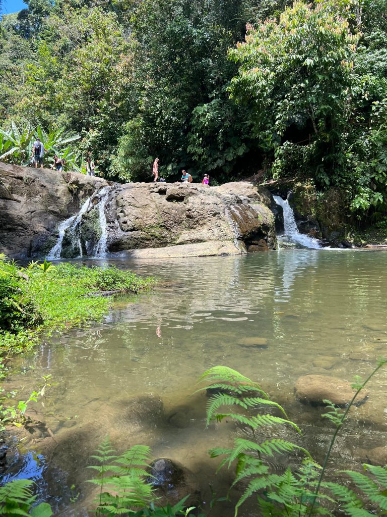 Light Code Activation Painting Retreat 2024 Way Of Light Yoga Retreats